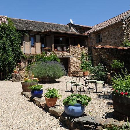 Mirandol-Bourgnounac Chambres D'Hotes Le Puits D'Amour מראה חיצוני תמונה